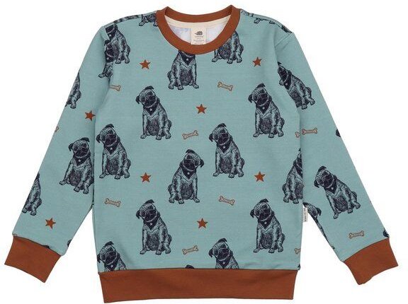 Kinder Sweatshirt – Blaugrün mit Hundemotiv, weich & bequem, wärmend, alltagstauglich, gut kombinierbar | Walkiddy