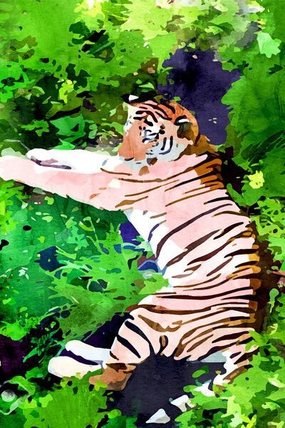 Photocircle Poster / Leinwandbild - Blush Tiger