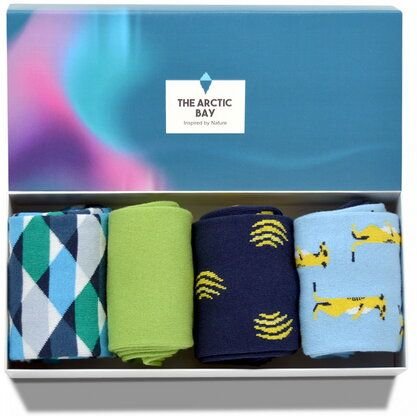 Thumbnail - The Arctic Bay Die Arctic Box - Allegro-Edition - 4 Paar Socken