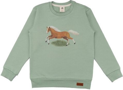 Sweatshirt Baby Bio-Baumwolle Grün Pferde Walkiddy – Nachhaltig, Umweltfreundlich, GOTS-zertifiziert, Elastisch, Allergi...