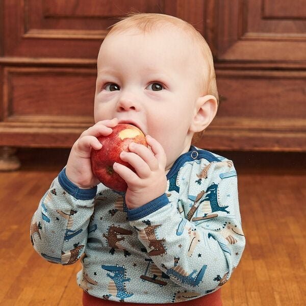 Cheeky Apple Bio Langarm-Body "Crocs on Wheels"
