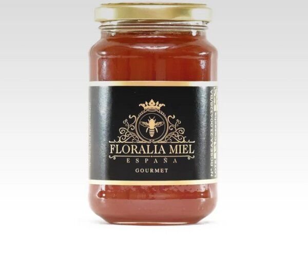 Mitienda Shop Waldhonig 500 gr. aus Spanien