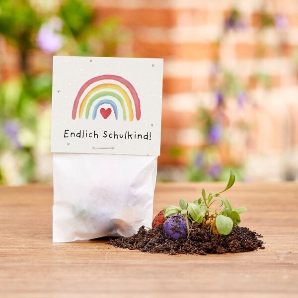 Die Stadtgärtner 5 bunte Blumenmurmeln im Tütchen mit Wildblumensaatgut | Geschenkidee zur Einschulung, Schulanfang, für...