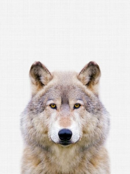 Photocircle Poster / Leinwandbild - Wolf