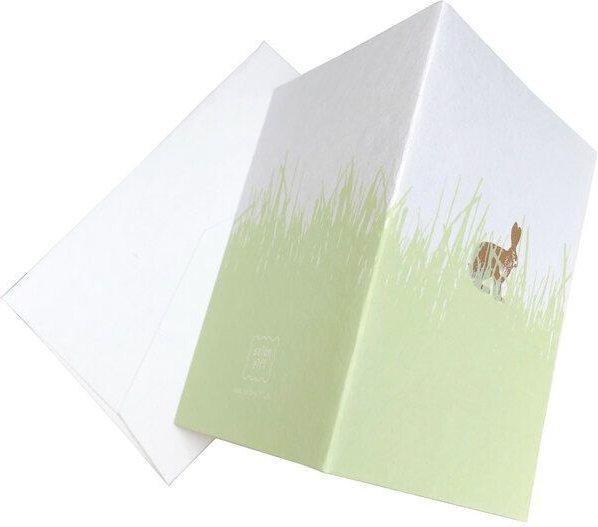 Salon Elfi Osterklappkarte mit Hasen-Druck und Briefumschlag