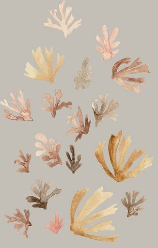 Photocircle Poster / Leinwandbild - Pastel Corals