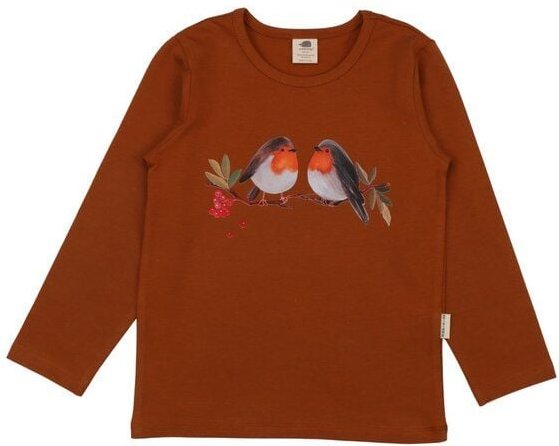 Jungen Langarmshirt Bio-Baumwolle „Terracotta“ rostrot, weiches Jerseyshirt von Walkiddy für Schulkinder, vielseitiges B...