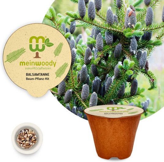 meinwoody Baum-Pflanz-Kit