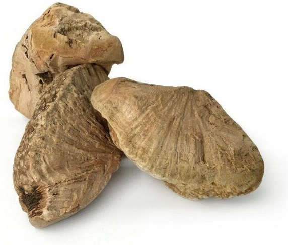 Kork-Deko Kauwurzel für Hunde | Kauspielzeug aus Baumheide | unbehandelt