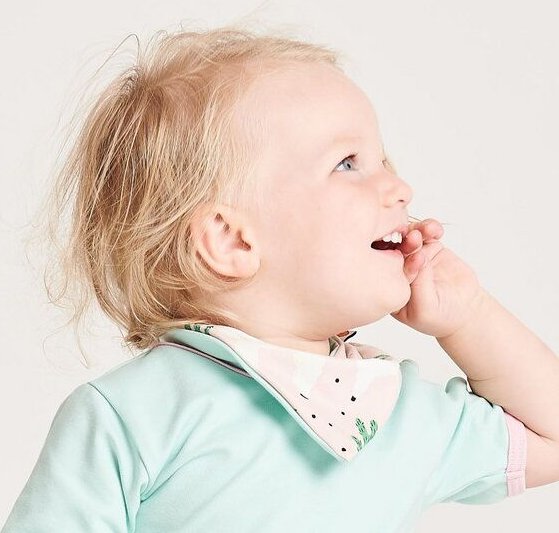 Cheeky Apple Lätzchen aus Bio-Baumwolle "Alpakas" Rosa/Türkis