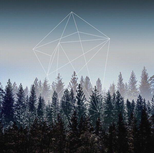 Photocircle Poster / Leinwandbild - Woods