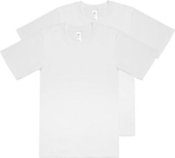 Haasis Bodywear Herren Basic T-Shirt 2er Pack