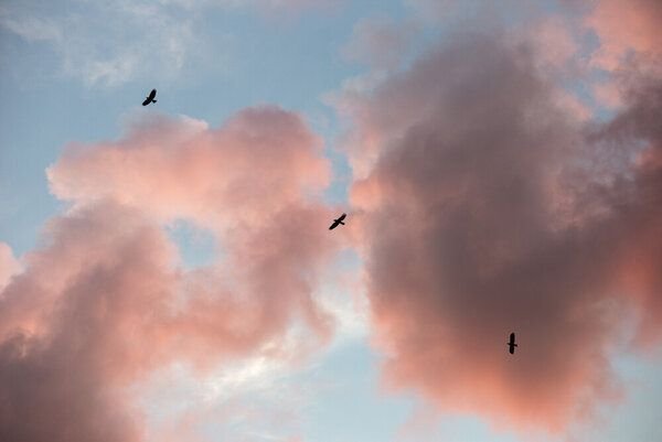 Photocircle Poster / Leinwandbild - Sunset Trinity