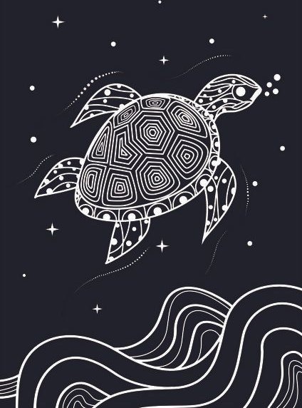 vis wear Turtle Poster