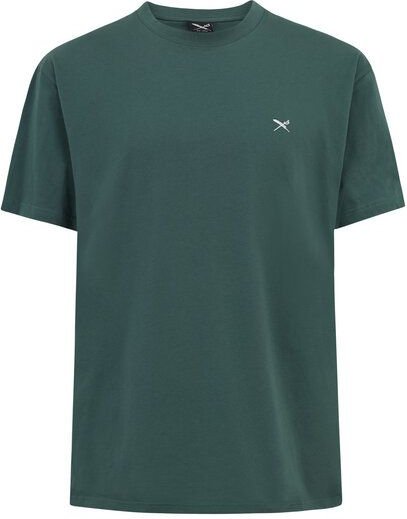 Iriedaily Mini Flag Relaxed Tee