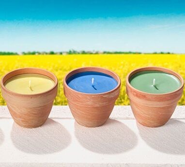 Stuwa Terrakotta-Topf Rapswachs mit Natura Düften