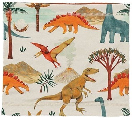 Walkiddy Dinasaur World-Loop