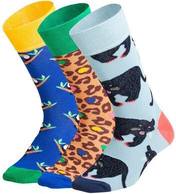 Thumbnail - DillySocks Socken „Exotic Trio (3er Box)“