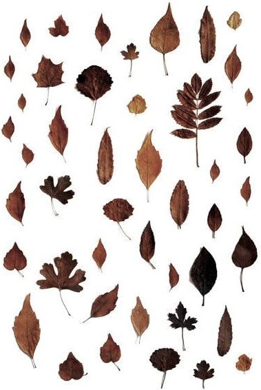 Photocircle Poster / Leinwandbild - Signs of Autumn