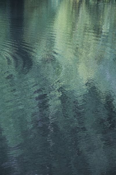 Photocircle Poster / Leinwandbild - Forest in the lake