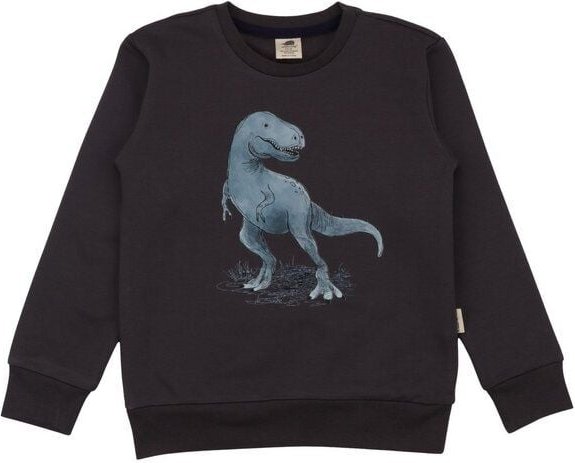 Walkiddy Anthracite-Sweatshirt 140