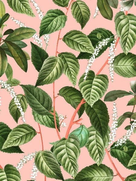 Photocircle Poster / Leinwandbild - How Lovely Is the Silence of Growing Things