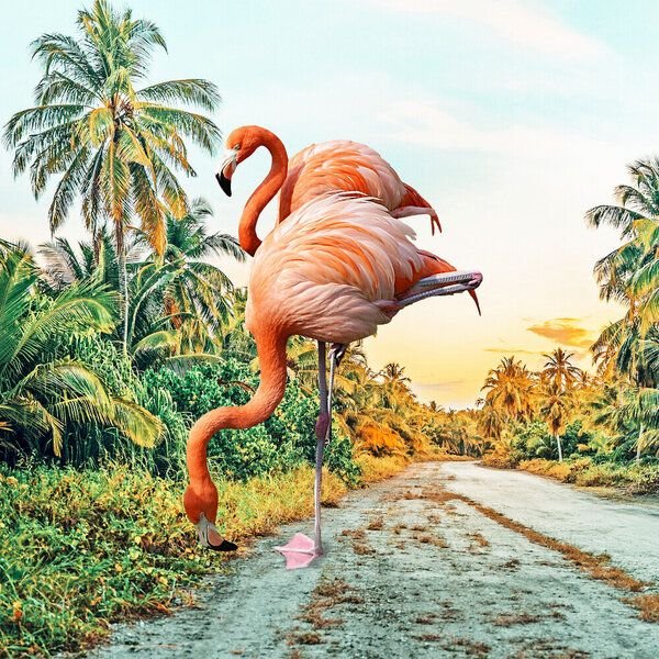 Photocircle Poster / Leinwandbild - Flamingo Vacay