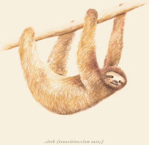 Photocircle Poster / Leinwandbild - Faultier