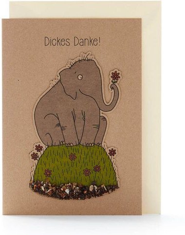 Die Stadtgärtner Dankeskarte mit Blumensamen I Grußkarte für viele verschiedene Anlässe