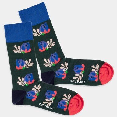 DillySocks Bunte Socken, Bio Baumwolle, Bear says hello