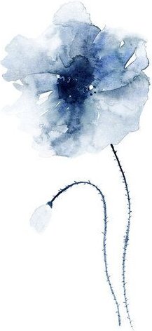 Photocircle Poster / Leinwandbild - Blue Poppies No. 1