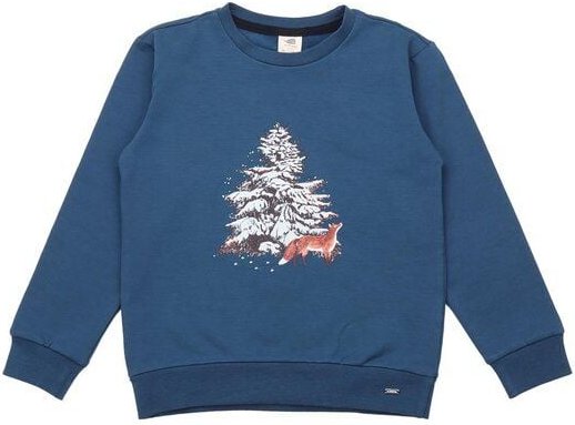 Kinder Sweatshirt GOTS zertifiziert – Blau mit Motiv, weich & bequem | von Walkiddy