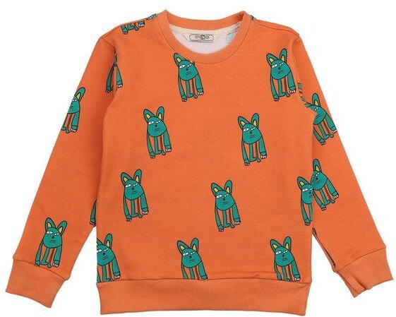 Cotokids Kinder Sweatshirt – Orange mit Tiermuster, weich & bequem | von Walkiddy