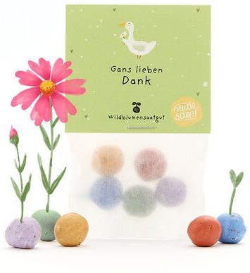 Die Stadtgärtner 5 bunte Blumenmurmeln im Tütchen mit Wildblumensaatgut | Als Gastgeschenk, Dankeschön & kleine Aufmerks...
