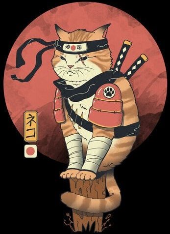 Photocircle Poster / Leinwandbild - Shinobi Cat