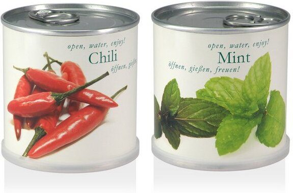 Blumen in der Dose Geschenk Set - Chili - Minze von Macflowers