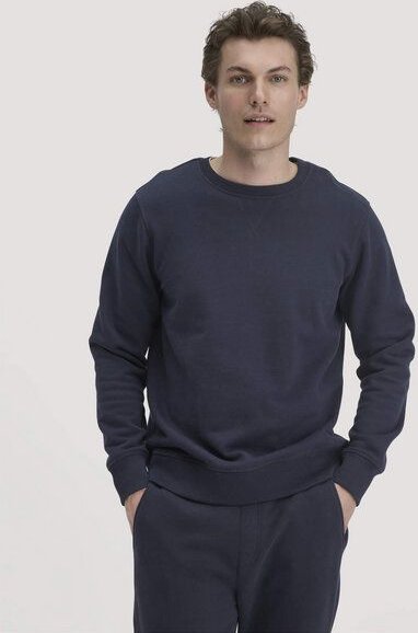 hessnatur Sweatshirt Regular aus reiner Bio-Baumwolle