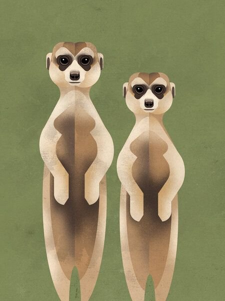 Photocircle Poster / Leinwandbild - Erdmännchen