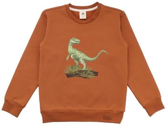 Kinder Sweatshirt GOTS zertifiziert, braun, Dino-Print, weich & elastisch – Walkiddy