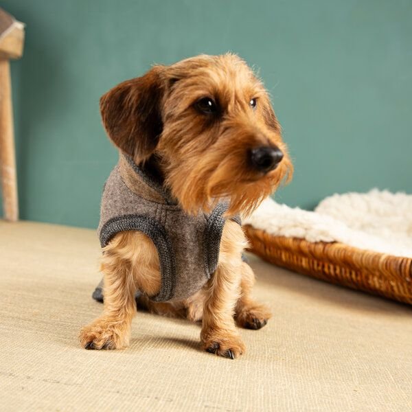nahtur-design Hundemantel für Dackel | handgefertigt | 100% Schurwolle
