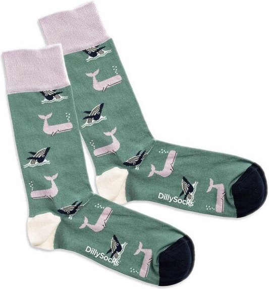 DillySocks Socken Whale Party aus Biobaumwoll-Mix