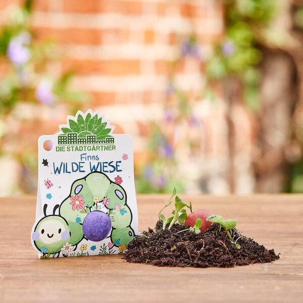 Die Stadtgärtner bunte Blumenmurmel das Original | "Finns Eldorado": 1 große hangerollte Samenbombe mit Wildblumen-Saatg...
