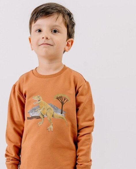 Walkiddy Dinasaur World-Sweatshirt