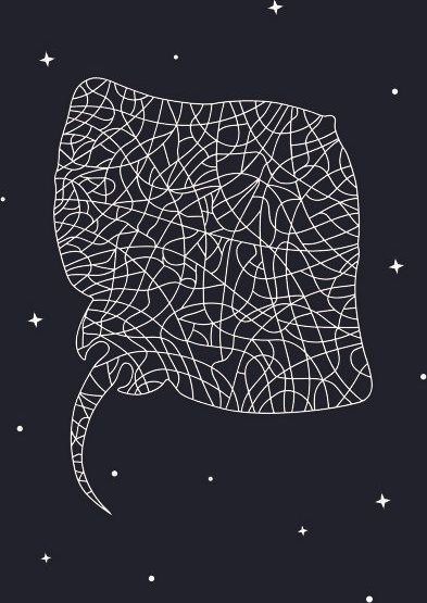 vis wear Rochen Poster