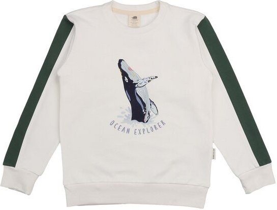 Kinder Sweatshirt Bio-Baumwolle Jumping Whales Walkiddy, GOTS-zertifiziert, kuschelweich, vegan, fair produziert, mariti...