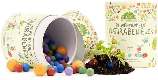 Die Stadtgärtner 100 bunte Blumenmurmeln "Mein Naturabenteuer" | handgerollte, farbenfrohe Samenbomben | Perfekt zum Kin...