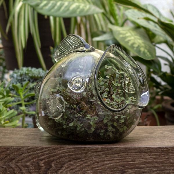 Mitienda Shop Blumentopf Fisch, Terrarium