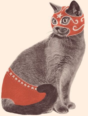 Photocircle Poster / Leinwandbild - Chat Catcheur