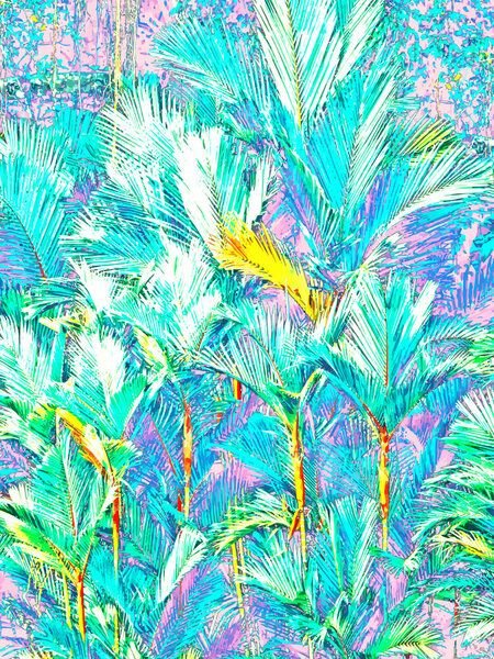 Photocircle Poster / Leinwandbild - Palm Garden