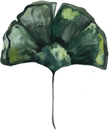 Photocircle Poster / Leinwandbild - Mantika Botanical Gingko Blatt